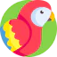 Macaw icon 64x64