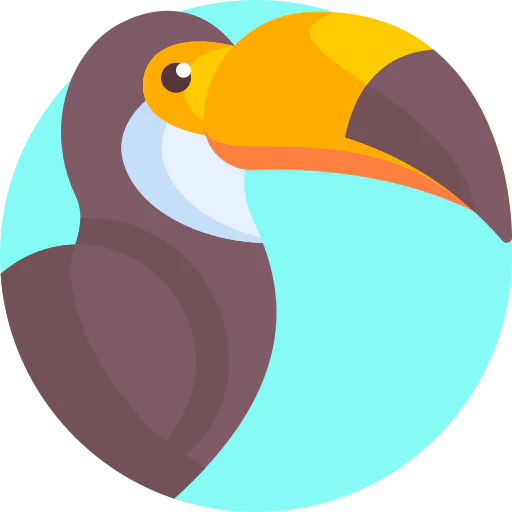 Toucan 图标