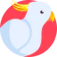Cockatoo icon 64x64