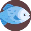 Piranha icon 64x64
