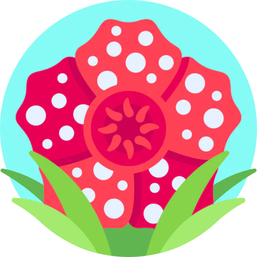 Rafflesia icon