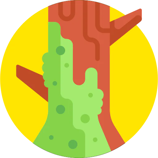 Moss icon