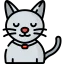 Cat icon 64x64