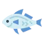 Fish icon 64x64