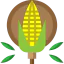 Corn アイコン 64x64