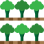 Broccoli icon 64x64