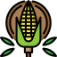Corn icon 64x64