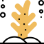 Coral icon 64x64