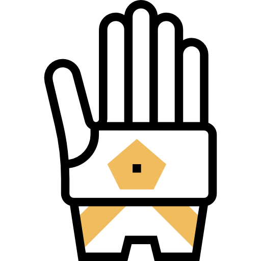 Gloves icon
