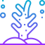 Coral icon 64x64