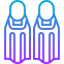 Flippers icon 64x64