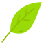 Leaf icon 64x64