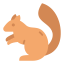 Squirrel icon 64x64