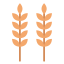 Wheat icon 64x64