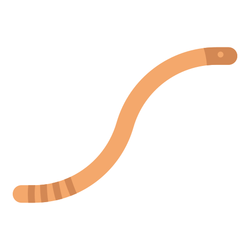 Worm icon