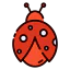 Ladybug icon 64x64