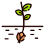 Seed icon 64x64