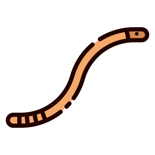 Worm icon