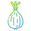 Onion icon 64x64