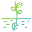 Seed icon 64x64