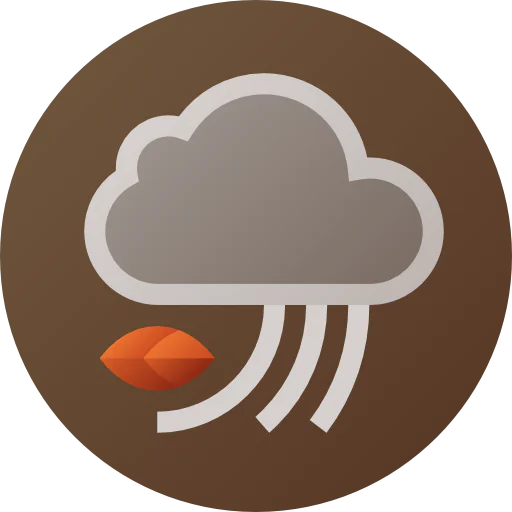 Wind icon