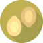 Pumpkin seed icon 64x64