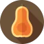 Butternut squash icon 64x64