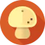 Mushroom icon 64x64