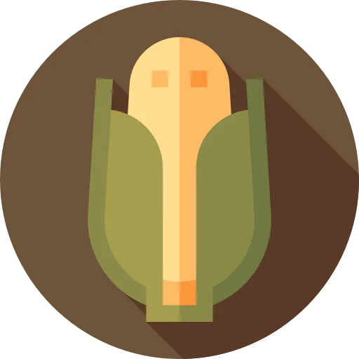 Corn icon