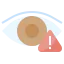 Spyware ícone 64x64