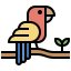 Parrot icon 64x64