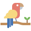 Parrot icon 64x64