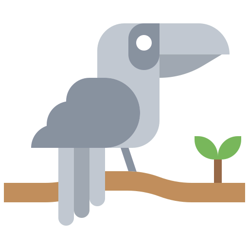 Toucan 상