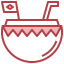 Coconut drink icon 64x64