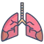 Lungs 상 64x64