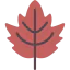 Leaf アイコン 64x64