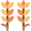 Wheat アイコン 64x64