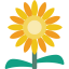 Sunflower アイコン 64x64