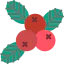 Berries アイコン 64x64