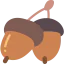 Acorn アイコン 64x64