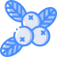 Berries アイコン 64x64