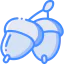 Acorn アイコン 64x64