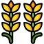 Wheat アイコン 64x64