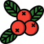 Berries アイコン 64x64
