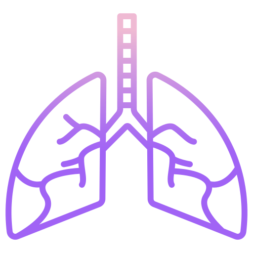 Lung icon