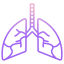 Lung icon 64x64