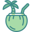 Coconut 图标 64x64