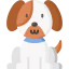 Pet ícono 64x64