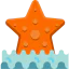 Starfish biểu tượng 64x64