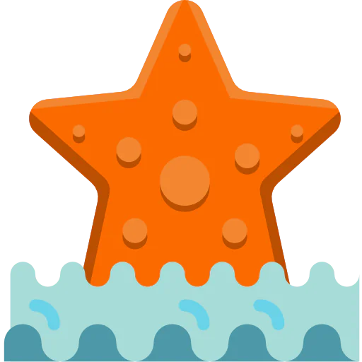 Starfish icône